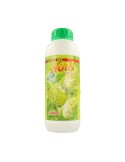 Noni (sabor fresa)