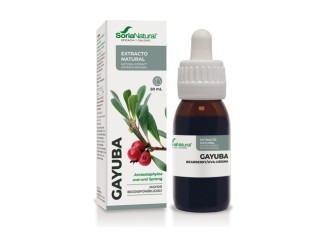 Extracto de Gayuba (Fórmula XXI)