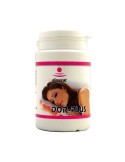 Dorplus