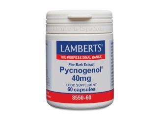 Pycnogenol