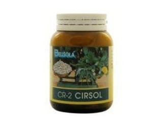 CR-2 Cirsol