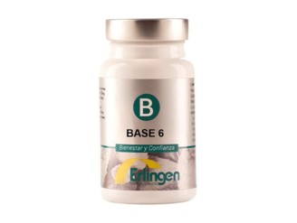 Base 6