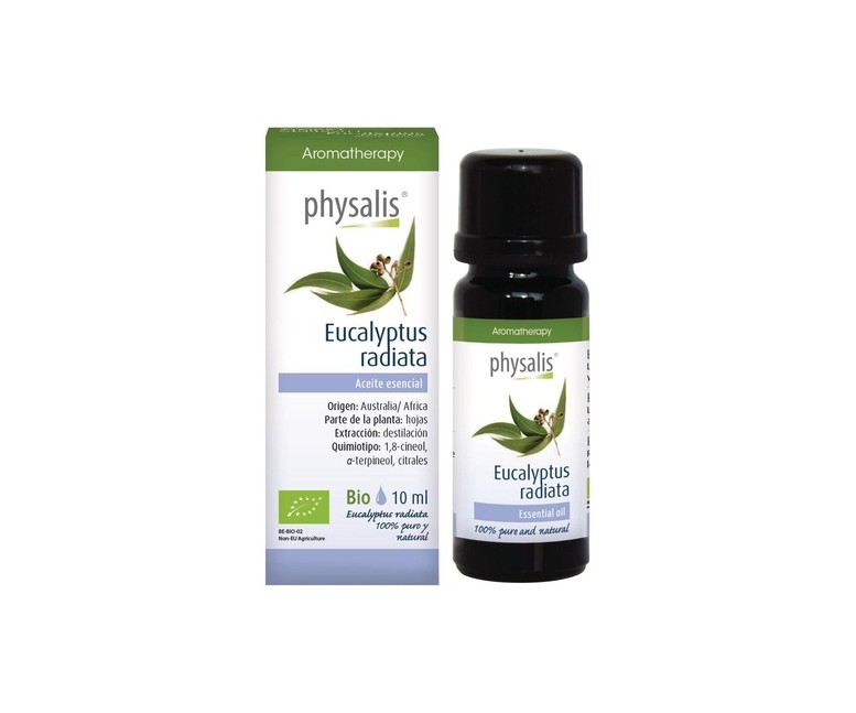 Esencia Eucalipto Radiata Bio 10 ml Physalis