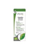 Extracto Té Verde (Camelia Sinensis) Bio