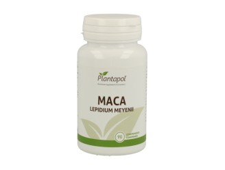 Maca