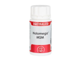 HoloMSM