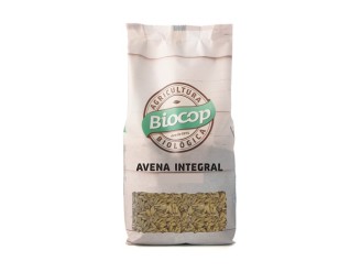 Avena integral
