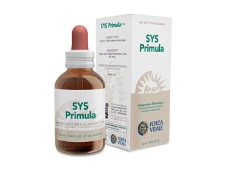 Sys Primula