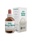 SYS Ginkgo Biloba
