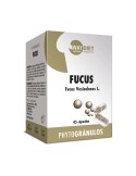 Phytogranulos fucus