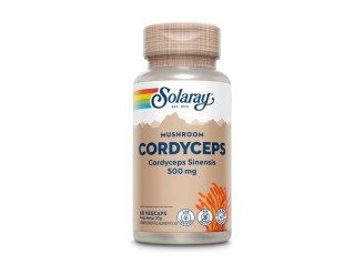 Cordyceps