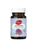Valeriana