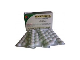 Enzysol 24g