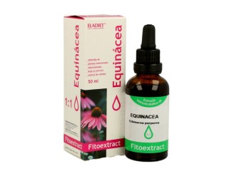 Extracto de Echinacea