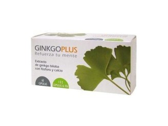 Ginkgoplus