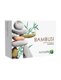 Bambusi
