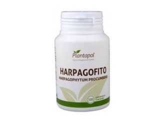 Harpagophytum