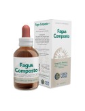 Fagus Composto