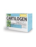 Cartilogen Elastic