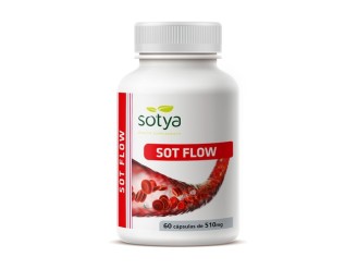 Sot-Flow