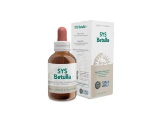 Sys.betulla (abedul)