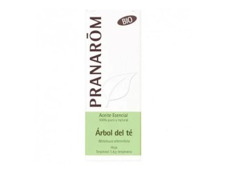 Árbol del té hoja aceite esencial bio