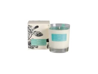 Vela vaso botvasm mint menta