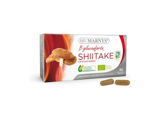 Shitake