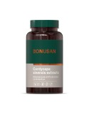 Cordyceps Sinensis Mycelium
