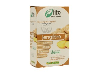 Fito Premium Jengibre