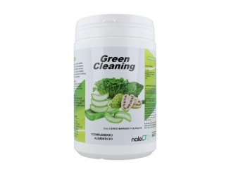 Green Cleaning Limpieza Verde