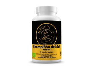 Champiñón del sol
