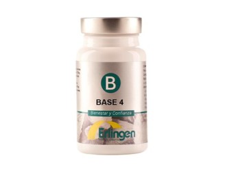 Base 4