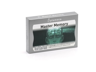 Master Memory